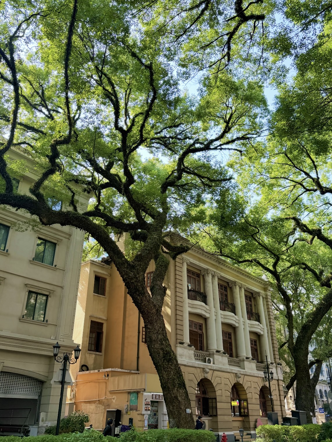 Shamian Island Guangzhou Guide. Best Photo Spots, Walking Route and Travel Tips 4