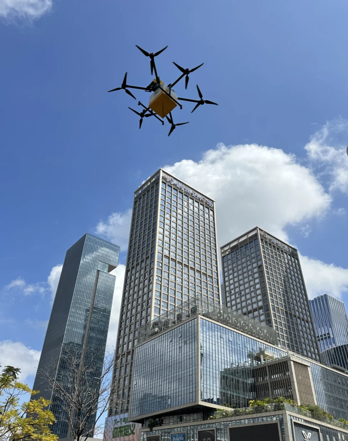 Shenzhen Drone Delivery Experience Guide. How to Order Drone Food Delivery in Shenzhen Parks 2