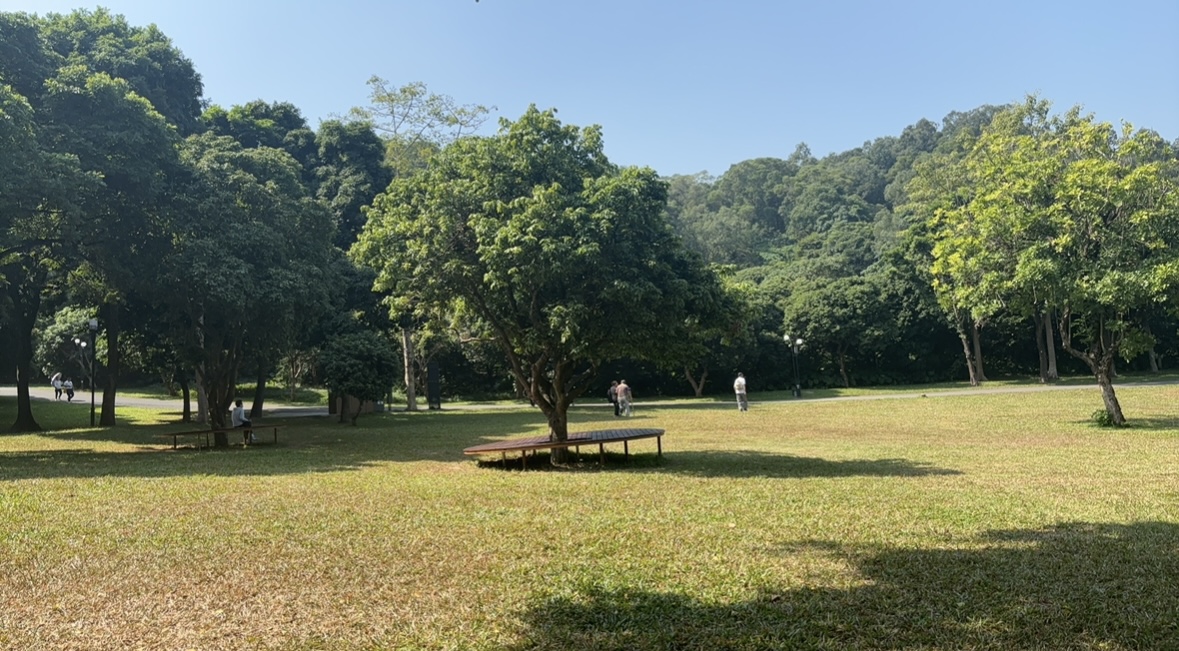 Shenzhen Lianhua Mountain Park Guide: Best Skyline Viewpoint and Central Park in Shenzhen 5