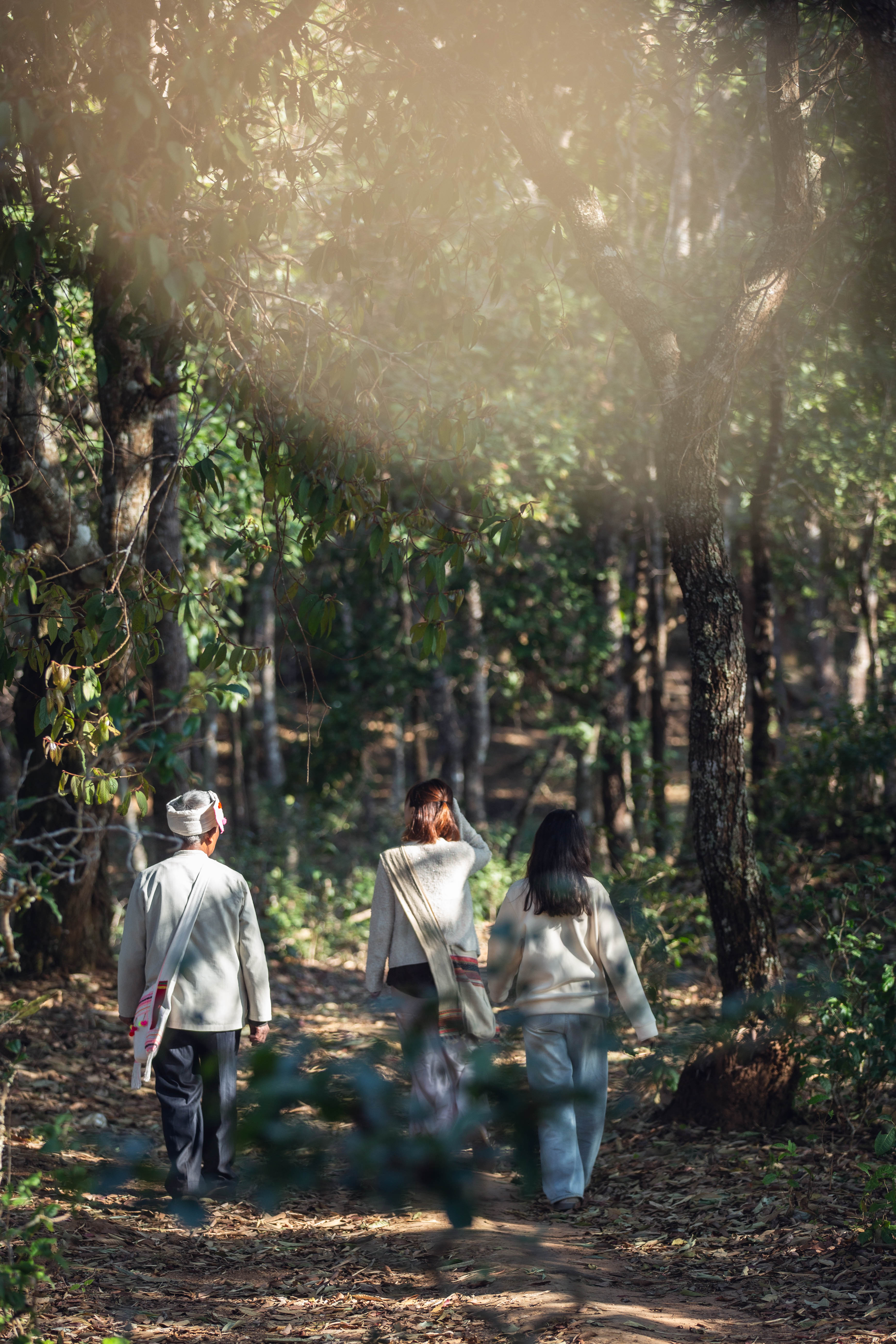 Jingmai Mountain – Mangjing Village Rainforest Trek (6 Hours)