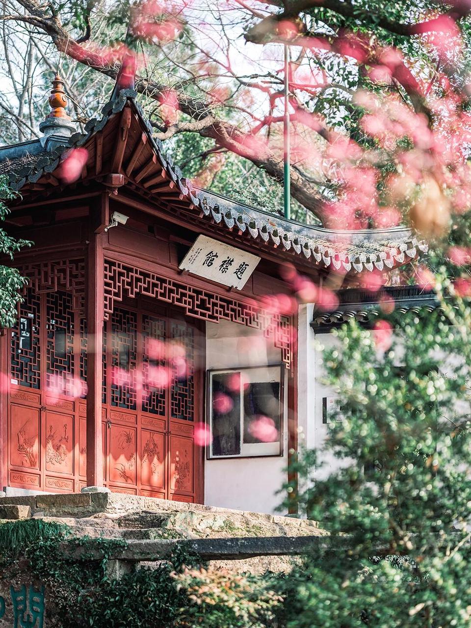 Hangzhou Ultimate: High-Speed Rail Escape & Bespoke Tea 