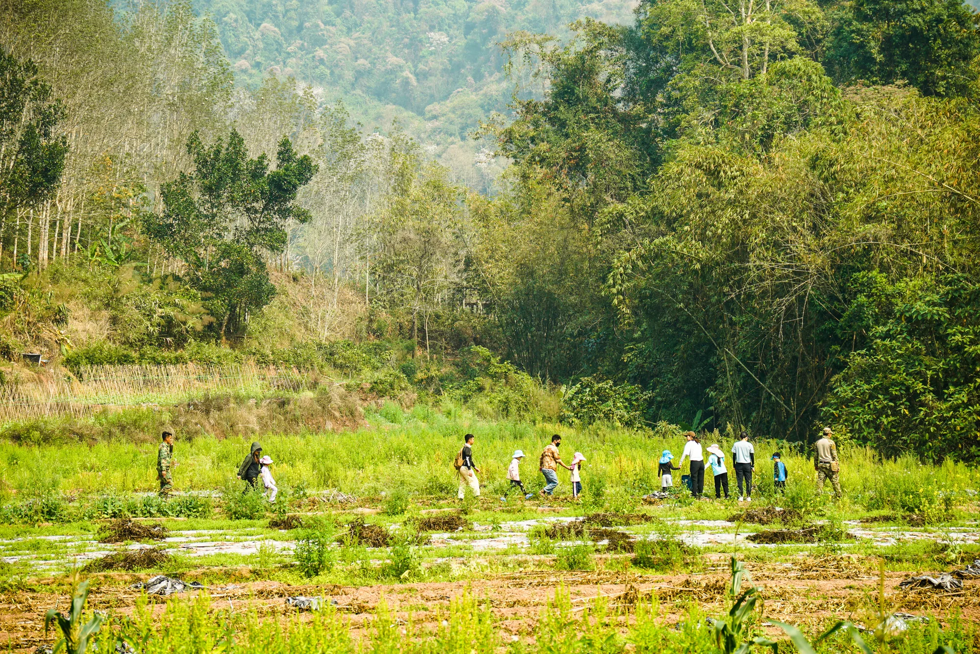 Xishuangbanna Naka Rainforest Trek: Stream Hiking & Jungle Adventure travel scene 14
