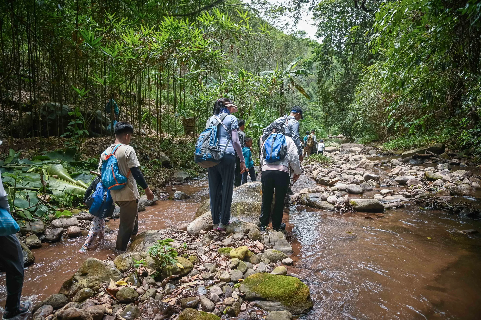 Xishuangbanna Naka Rainforest Trek: Stream Hiking & Jungle Adventure travel scene 9