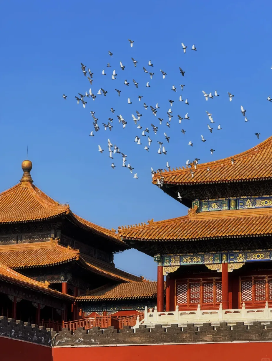 Beijing Classic One-Day Tour: Tiananmen Square, Forbidden City & Jingshan Park travel scene 2