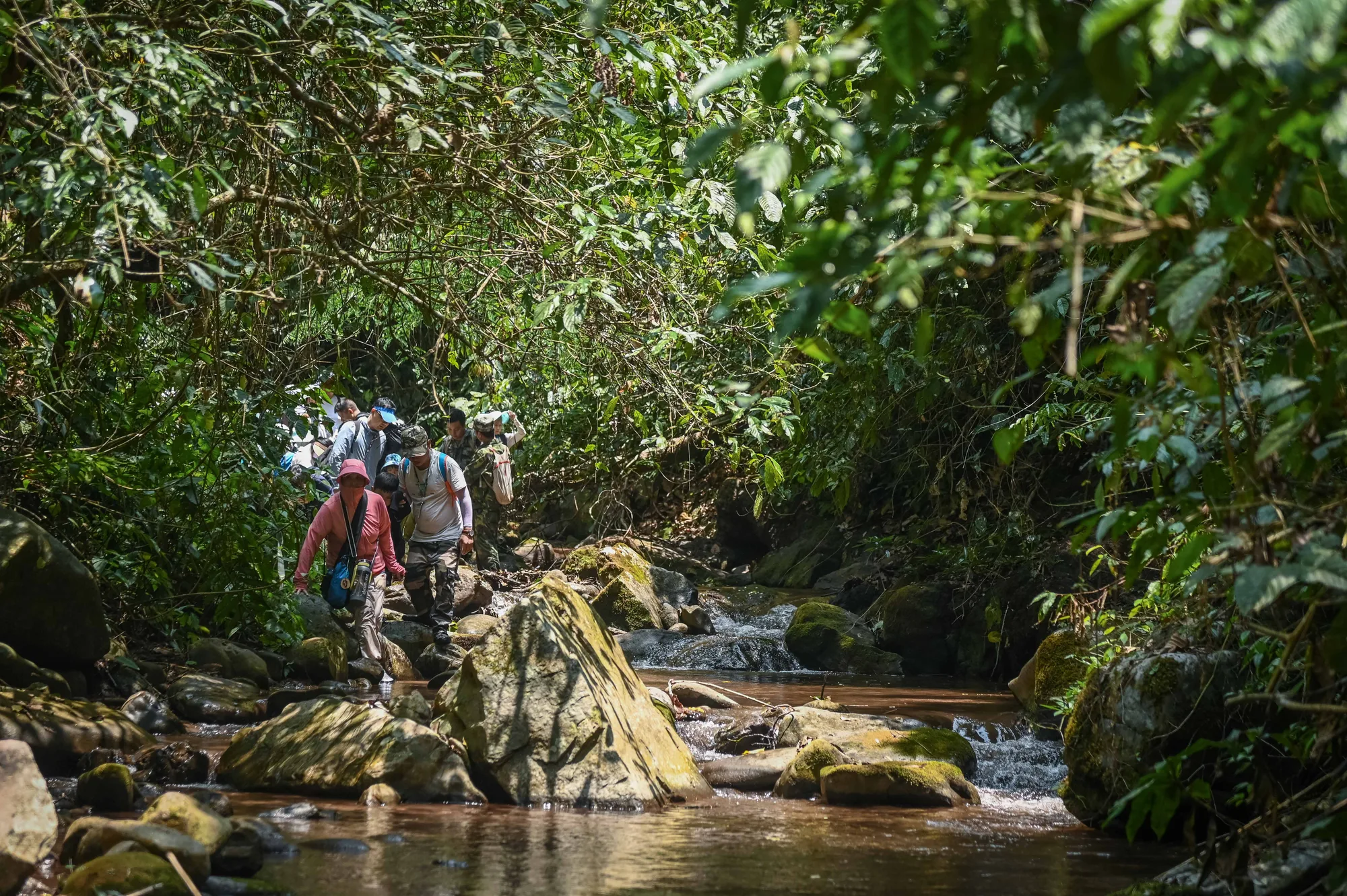 Xishuangbanna Naka Rainforest Trek: Stream Hiking & Jungle Adventure travel scene 13