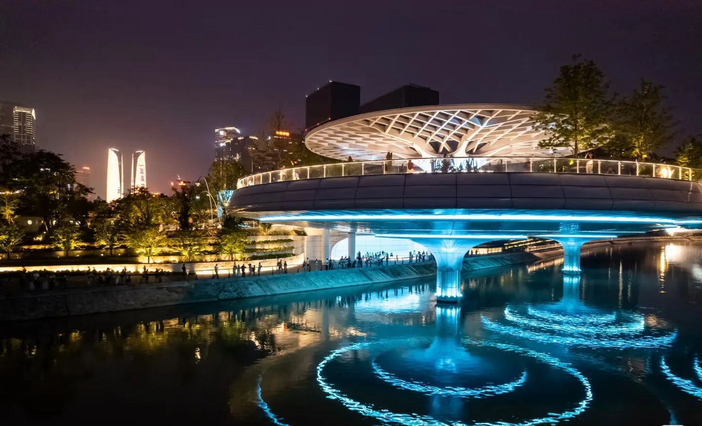Chengdu After Dark: Bike Tour, Night Market & Light Shows travel scene 8
