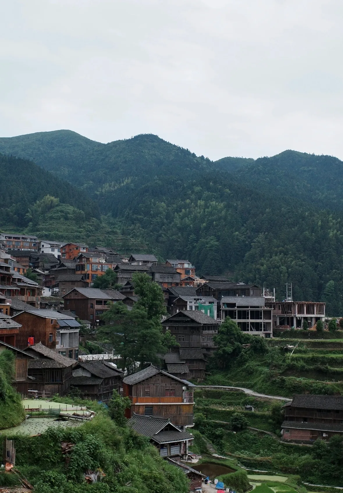 Guizhou Rice Terraces Hiking & Dong Culture Tour (2 Days 1 Night) travel scene 4