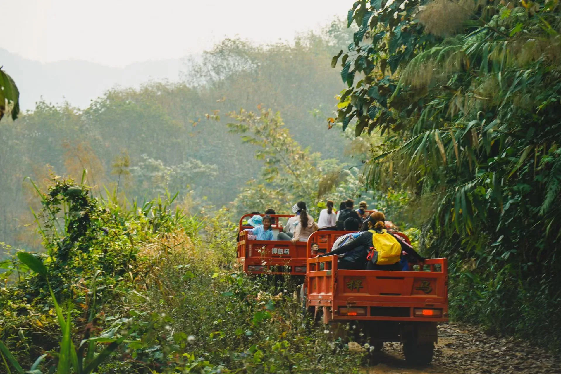 Xishuangbanna Naka Rainforest Trek: Stream Hiking & Jungle Adventure travel scene 2