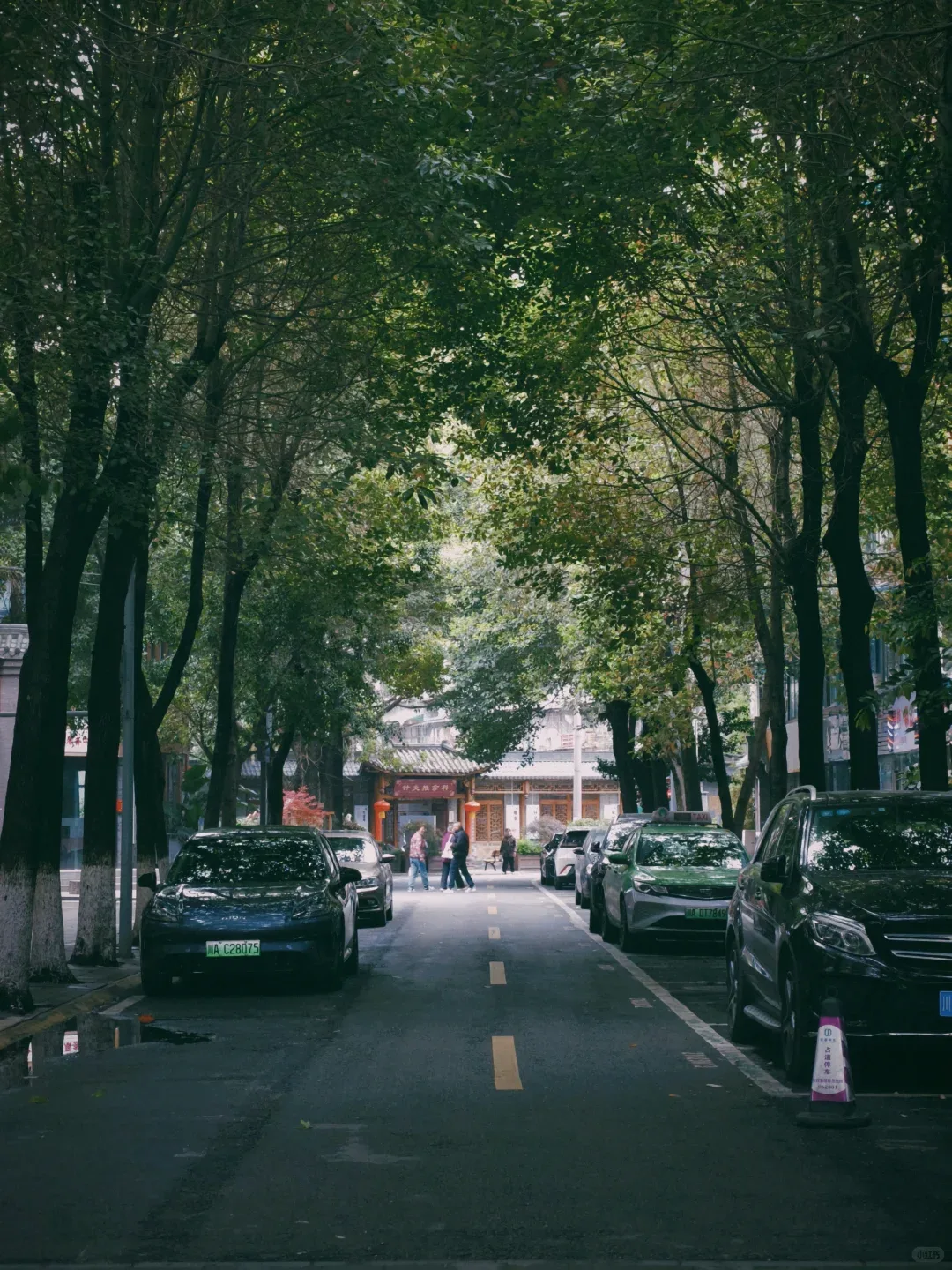 The Diversity of Chengdu:Subculture, Migration and Public Space travel scene 8