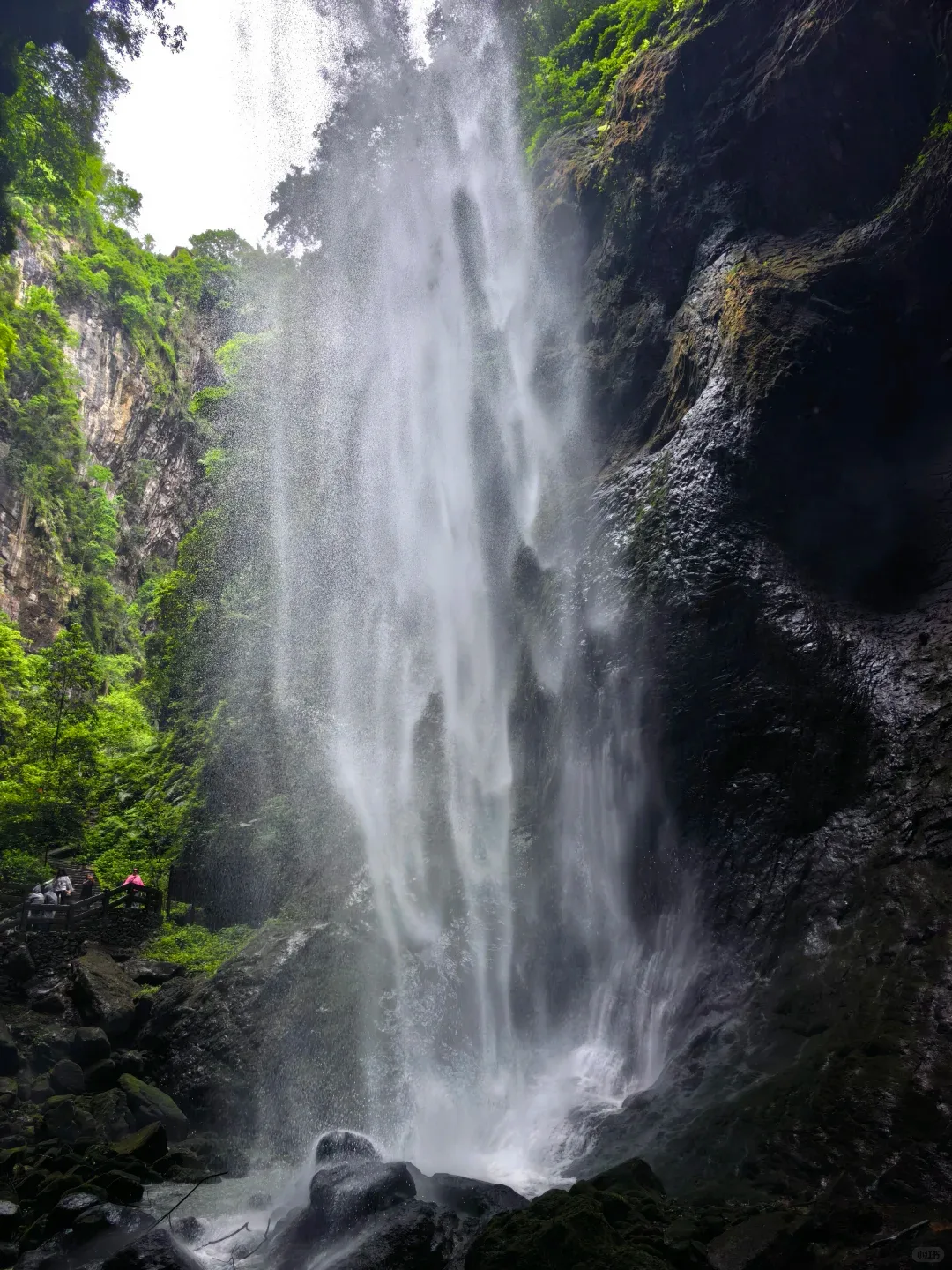 Wulong Day Trip from Chongqing: Is It Worth It? travel scene 3