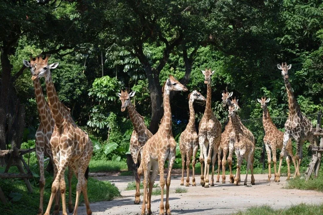 6 Best Things to Do in Shenzhen for Families travel scene 3