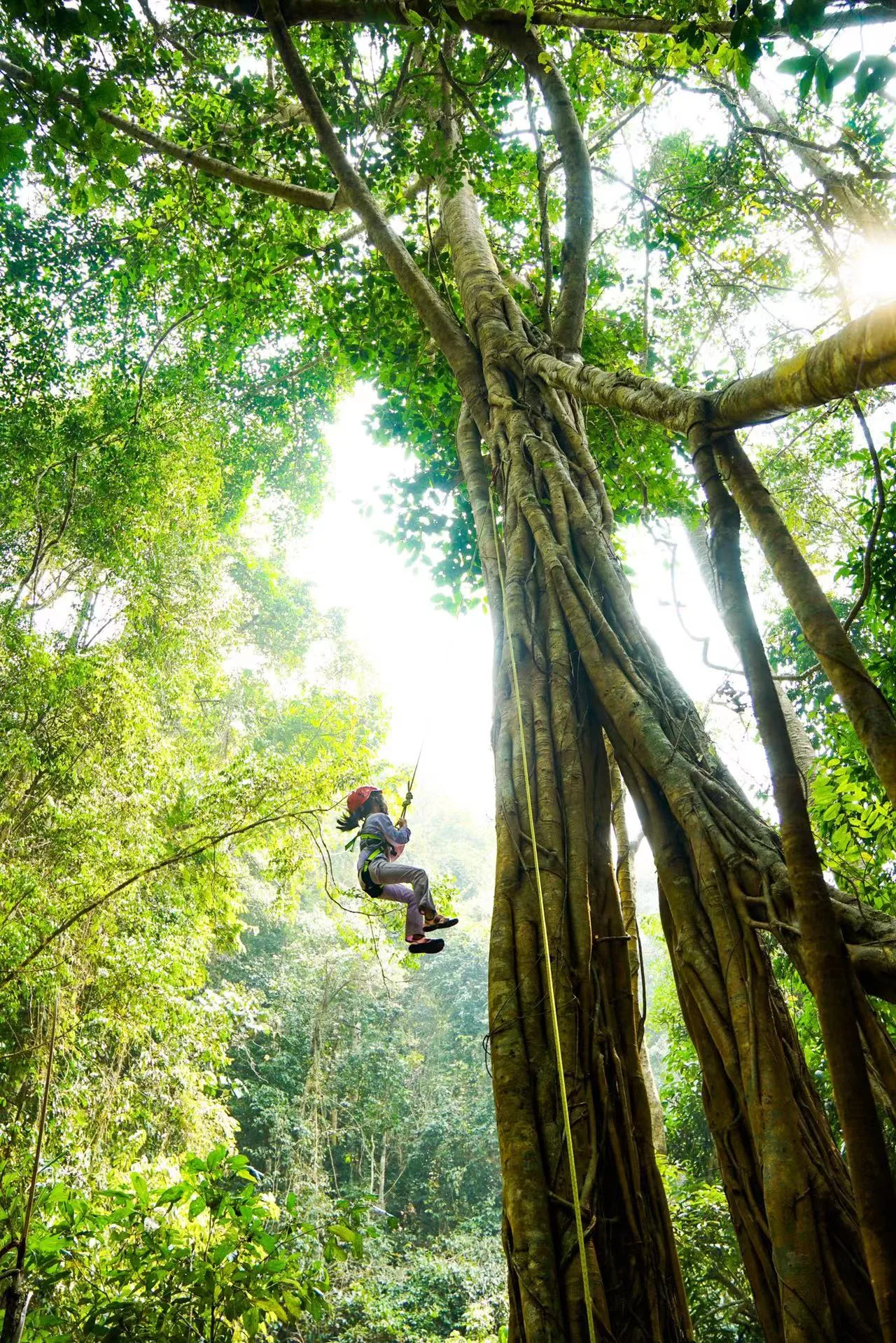 Xishuangbanna Naka Rainforest Trek: Stream Hiking & Jungle Adventure travel scene 12